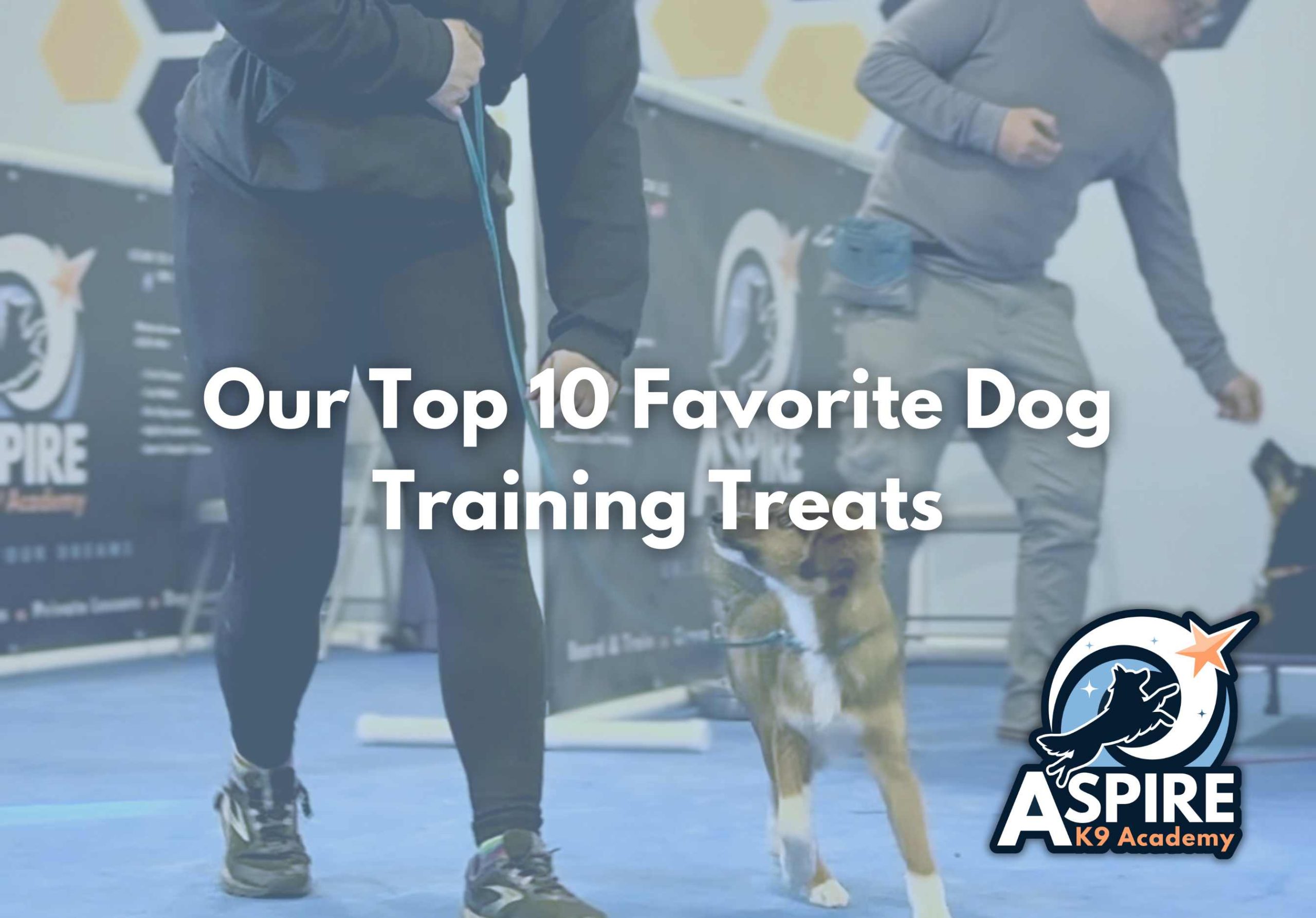 maryland dog trainer, dmv dog trainer, gaithersburg dog training, gaithersburg dog trainer, frederick dog training, mt airy dog training, damascus dog training, dog training near me