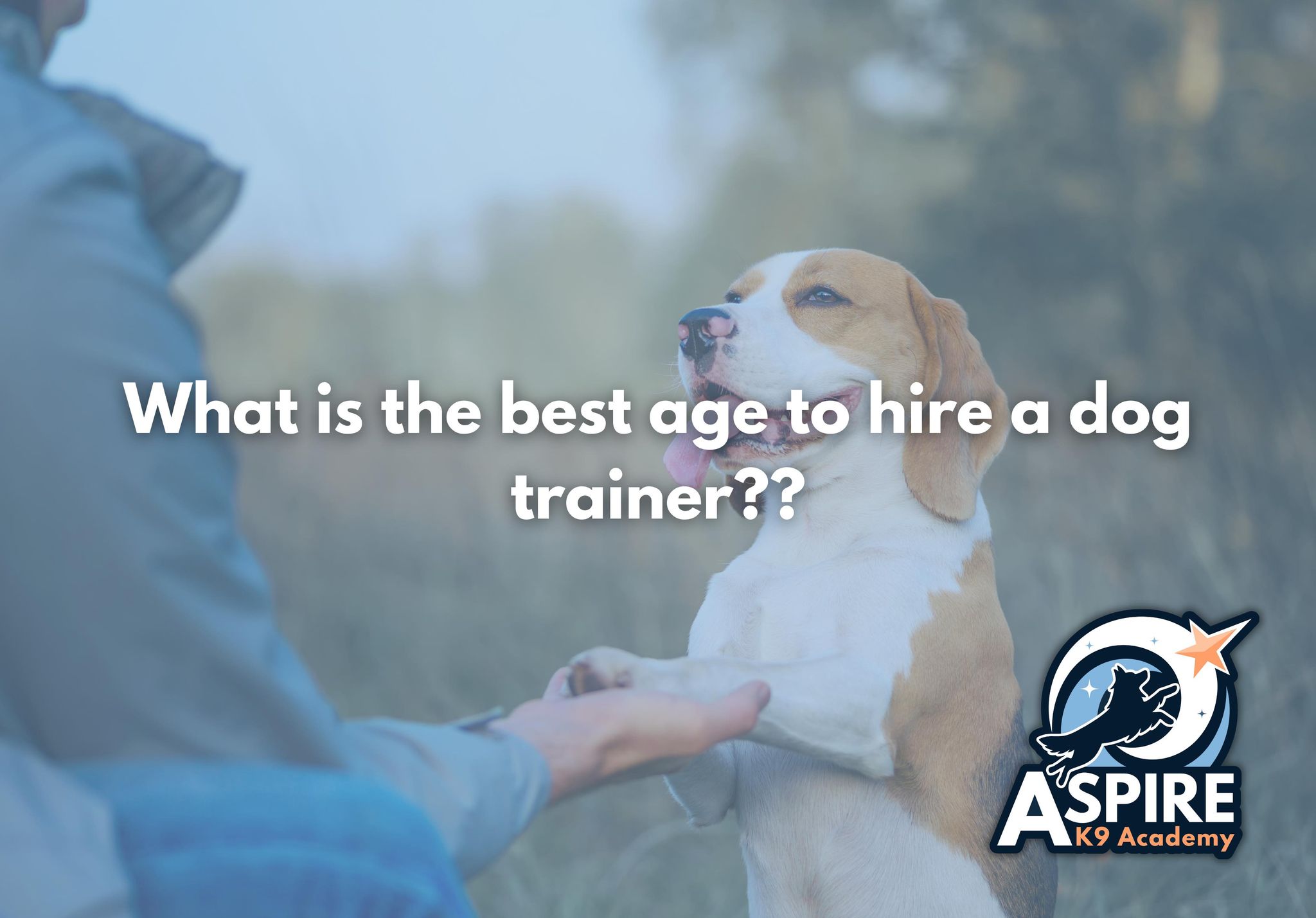 what is the best age to hire a dog trainer, hire a dog trainer, dog trainer md, montgomery county dog trainer, damascus md dog trainer, damascus md dog training, dmv dog training, dmv dog trainer