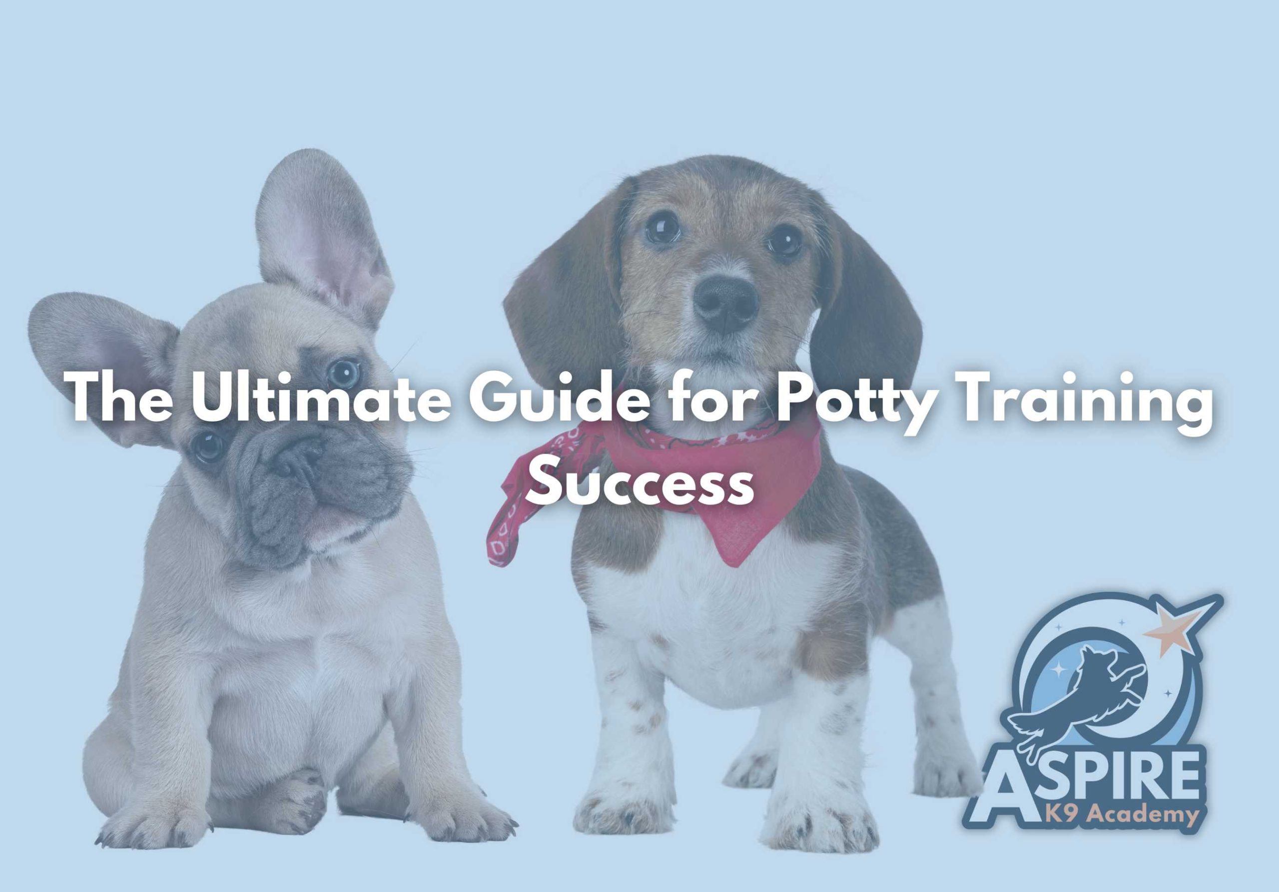 maryland dog trainer, dmv dog trainer, gaithersburg dog training, gaithersburg dog trainer, frederick dog training, mt airy dog training, damascus dog training, dog training near me, puppy potty training